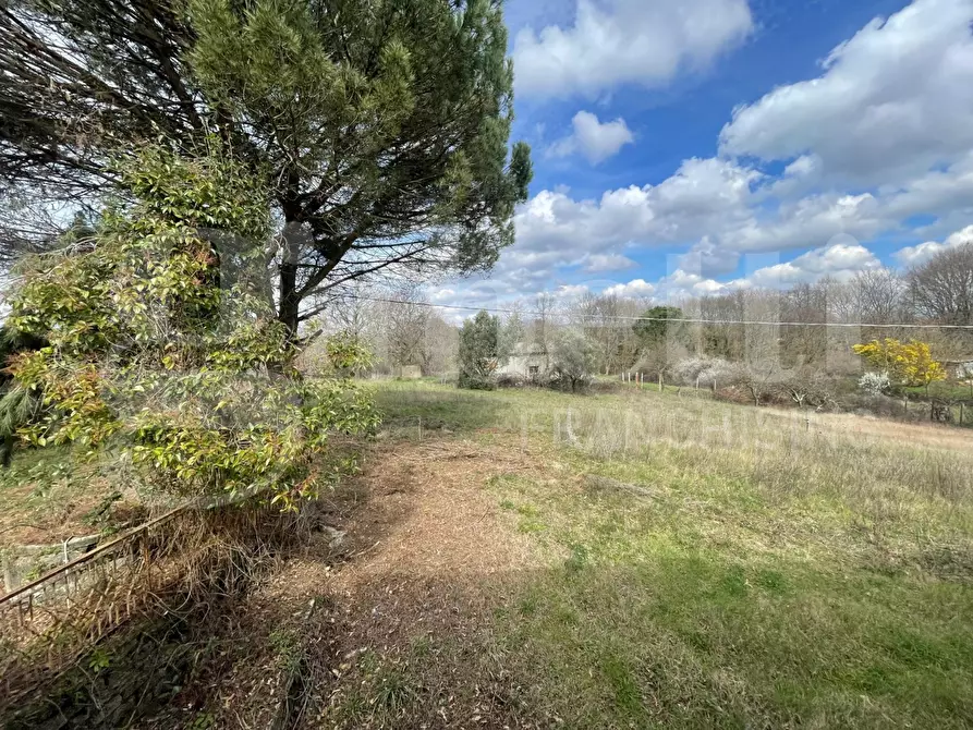 Immagine 16 di Villa in vendita  in Strada DELLA CASTELLINA, 00 a Oriolo Romano