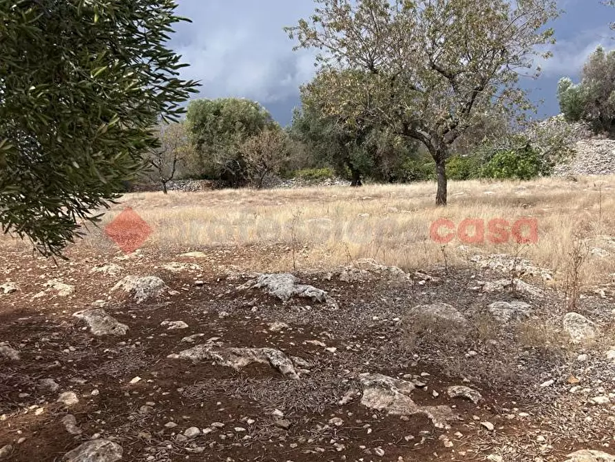 Immagine 20 di Baita in vendita  in Contrada Capece, 1 a Francavilla Fontana