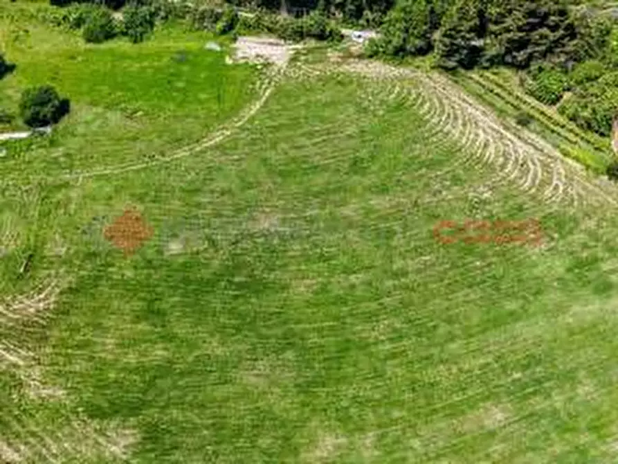 Immagine 3 di Terreno residenziale in vendita  in LocalitÃ  Sant'Anna, snc a Anagni