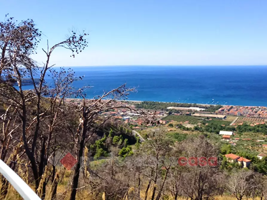 Immagine 17 di Casa indipendente in vendita  in Via Discesa Pisano a Aieta