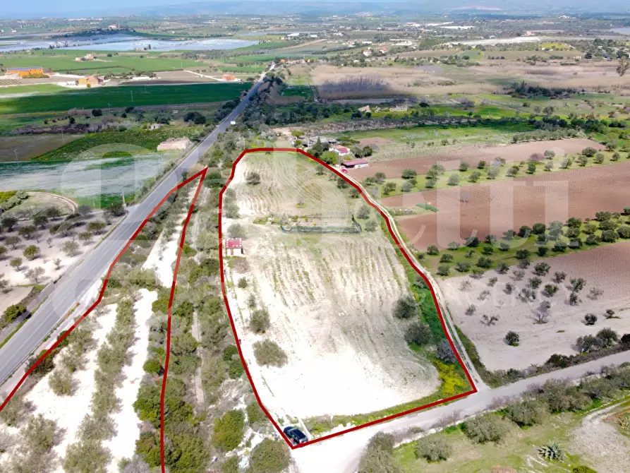 Immagine 10 di Terreno agricolo in vendita  in Strada consortile s.lorenzo, . a Noto