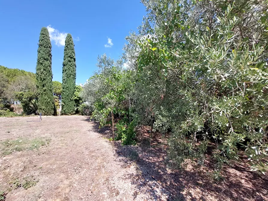 Immagine 20 di Casa trifamiliare in vendita  in Contrada San Martino, 0 a Colonnella