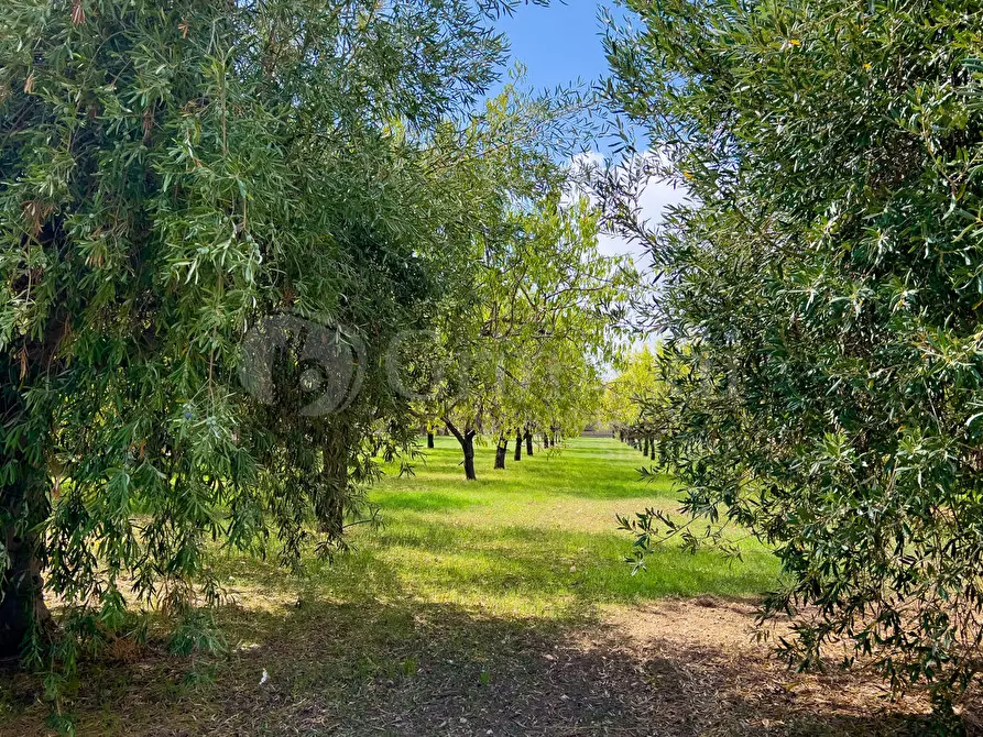 Immagine 14 di Rustico / casale in vendita  in Contrada Rociola a Avola