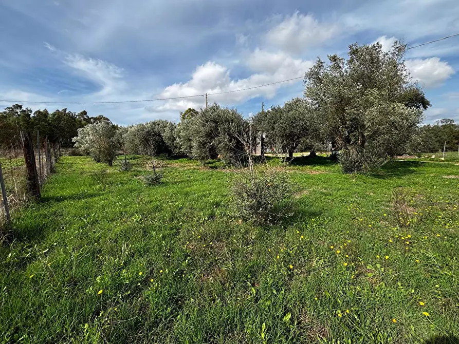 Immagine 13 di Casa indipendente in vendita  in LocalitÃ  Arriari, snc a Villamassargia