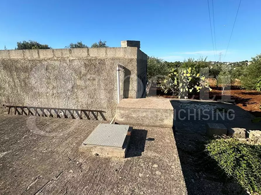 Immagine 10 di Terreno agricolo in vendita  in Contrada Salinola a Ostuni