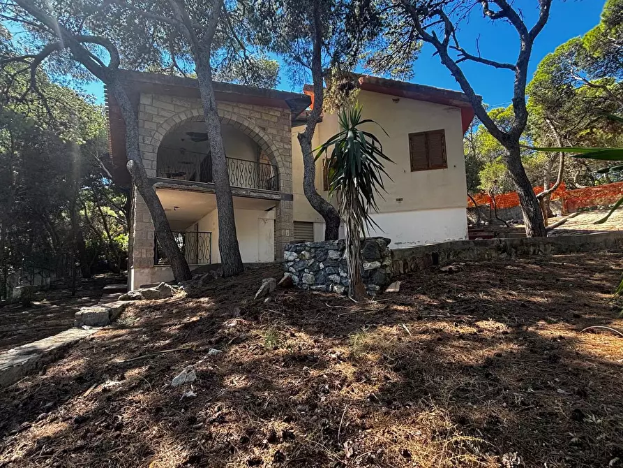 Immagine 2 di Villa in vendita  in LocalitÃ  Porto Pino, snc a Sant'anna Arresi