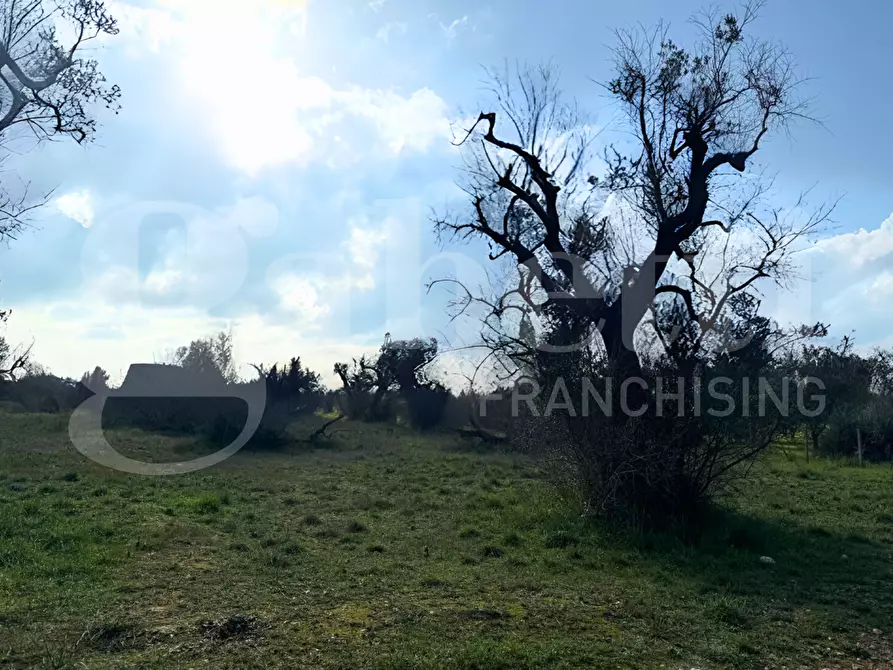 Immagine 6 di Baita in vendita  in Contrada San Giovanni, snc a Galatina