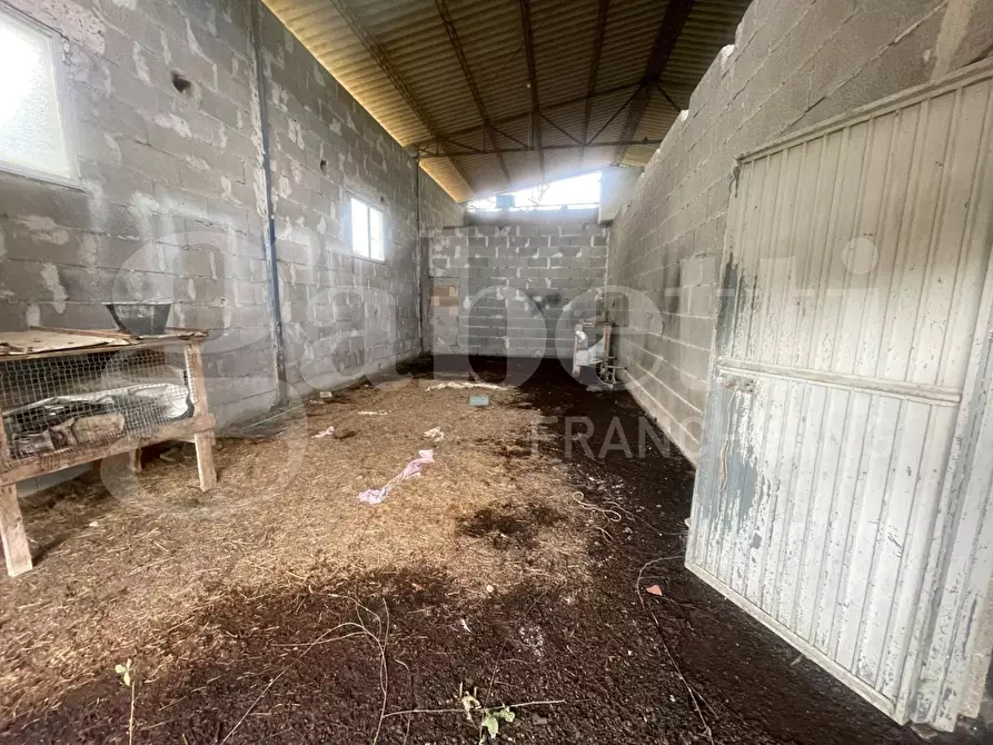 Immagine 18 di Villa in vendita  in Strada DELLA CASTELLINA, 00 a Oriolo Romano