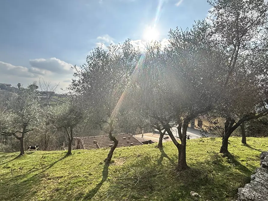 Immagine 5 di Rustico / casale in vendita  in Via Casale Basso, snc a Alatri