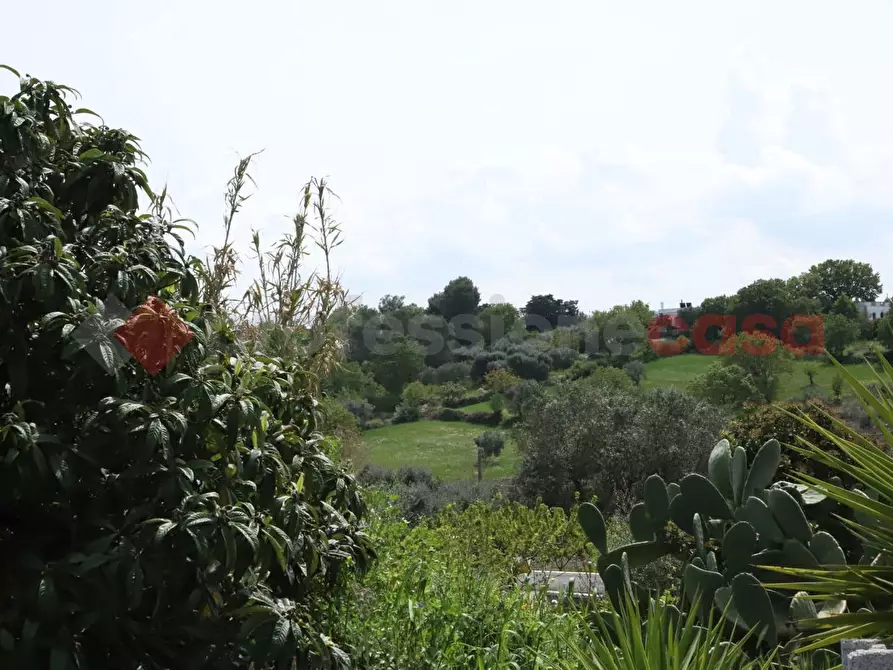 Immagine 14 di Baita in vendita  in Contrada San Salvatore, snc a Ostuni