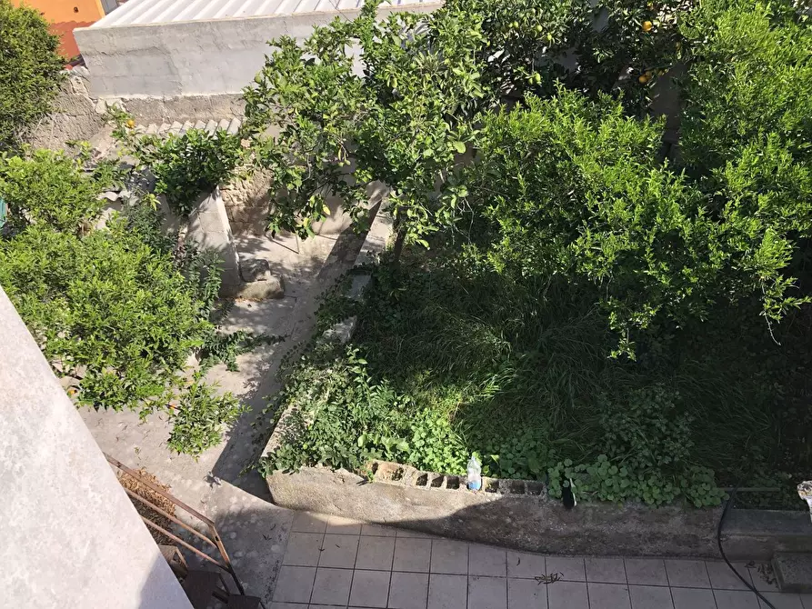 Immagine 25 di Casa indipendente in vendita  in Via Roma a Cannole