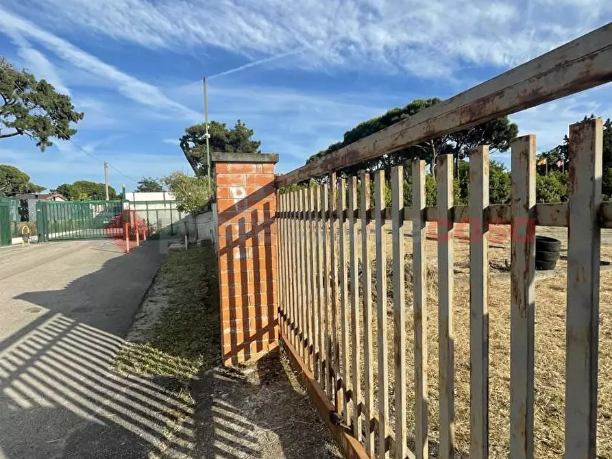 Immagine 11 di Terreno agricolo in vendita  in Strada PROV. S. FELICE CIRCEO, 1 a Terracina