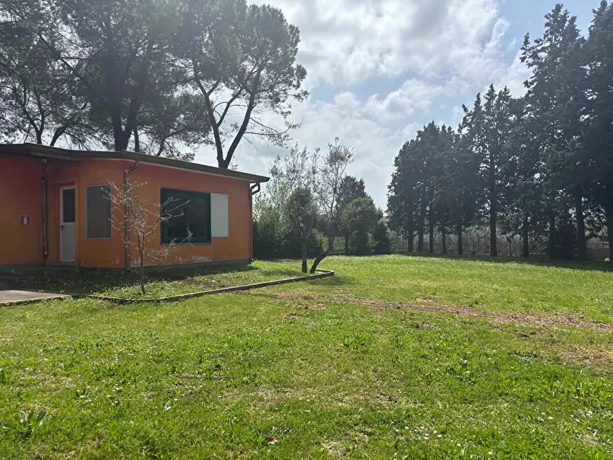 Immagine 4 di Magazzino in affitto  in Via Madonna di Loreto Casale Santospirito, 9 a Anagni