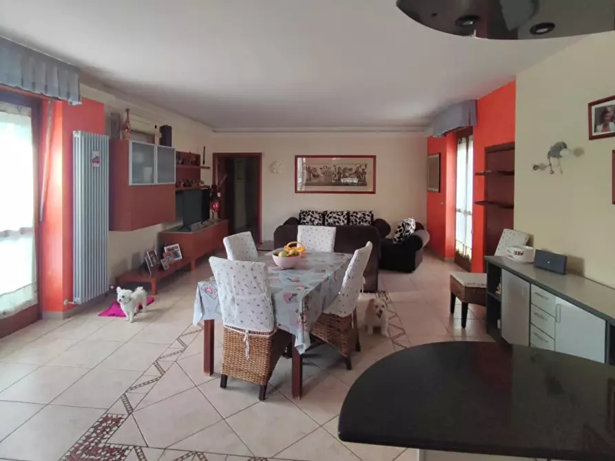 Immagine 6 di Casa indipendente in vendita  in Via CANTATORE a San Severo