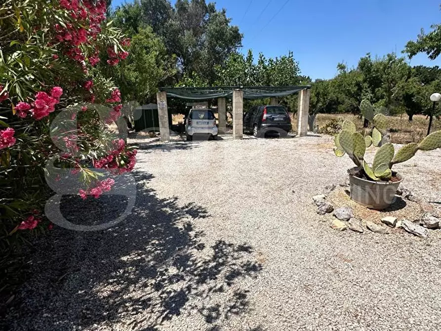 Immagine 49 di Villa in vendita  in Contrada Certosa, sn a Ostuni