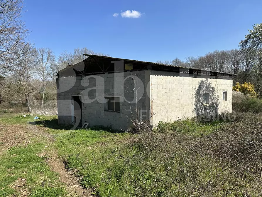 Immagine 27 di Villa in vendita  in Strada DELLA CASTELLINA, 00 a Oriolo Romano