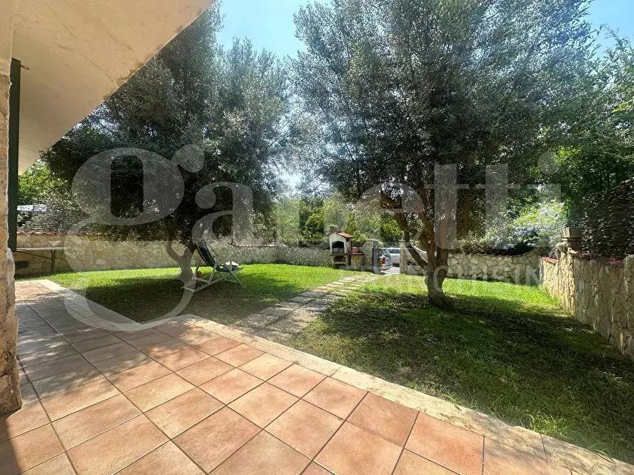 Immagine 4 di Appartamento in vendita  in Via cedrino, 31 a Ardea