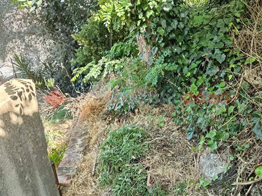 Immagine 19 di Appartamento in vendita  in Via SPARTACO LAVAGNINI a Castelfiorentino