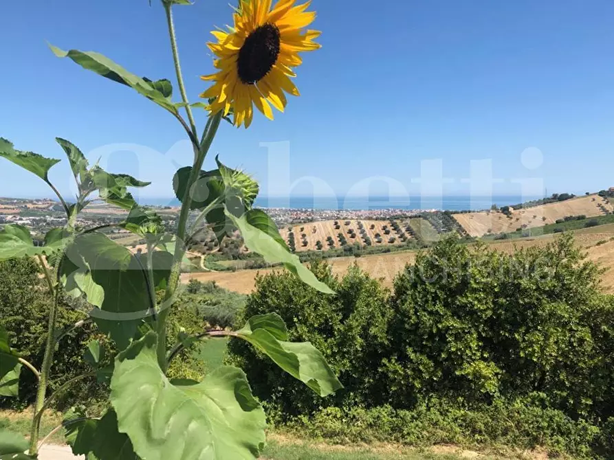 Immagine 32 di Casa indipendente in vendita  in Via Colle Luna, 3 a Tortoreto
