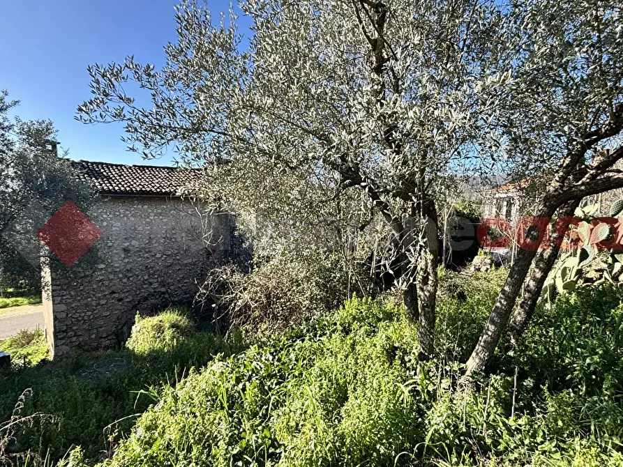 Immagine 14 di Rustico / casale in vendita  in Via Montereo, 32 a Alatri