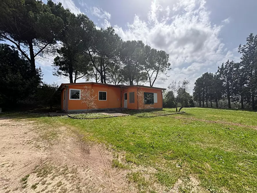 Immagine 2 di Magazzino in affitto  in Via Madonna di Loreto Casale Santospirito, 9 a Anagni