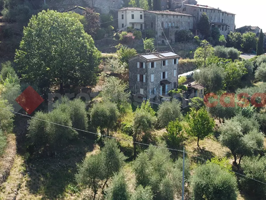 Immagine 4 di Rustico / casale in vendita  in LocalitÃ  castello, 9 a Borgo A Mozzano