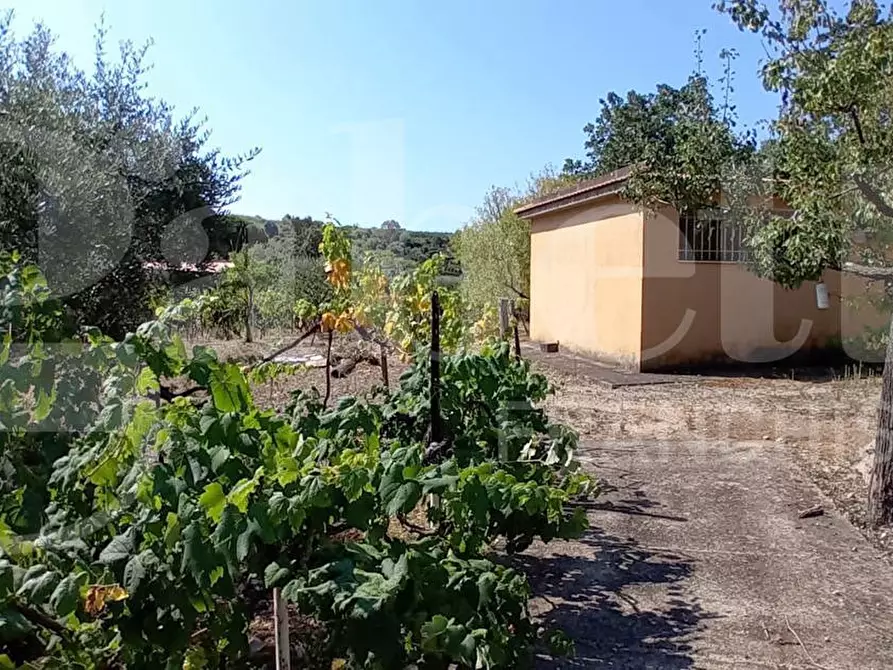 Immagine 13 di Rustico / casale in vendita  in Via Sant'Agostino, s.n.c. a Gaeta