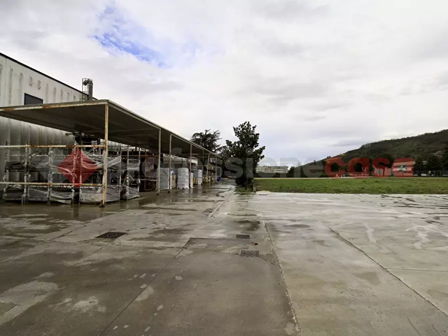 Immagine 17 di Capannone industriale in vendita  in Via Provinciale Morolense, 105 a Morolo