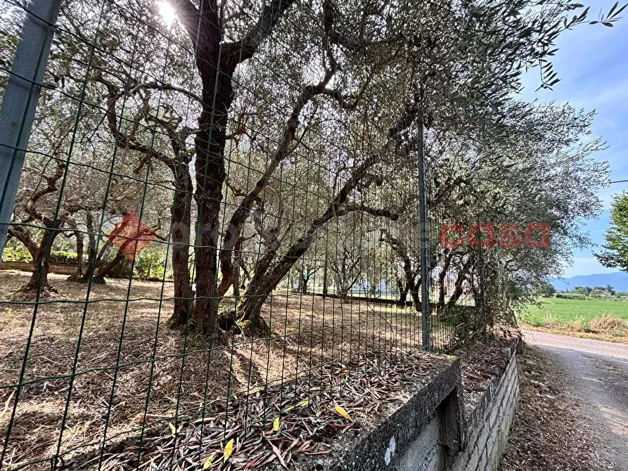 Immagine 37 di Casa indipendente in vendita  in Via Valle Vona, snc a Anagni