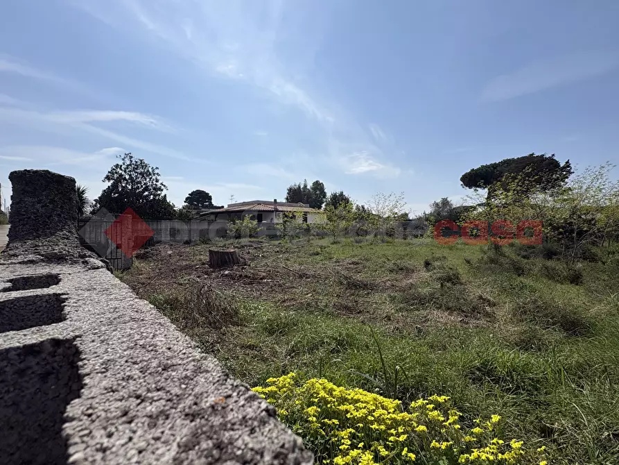 Immagine 19 di Terreno agricolo in vendita  in Via SAN FELICE CIRCEO TRAVERSA 23, 23 a Terracina