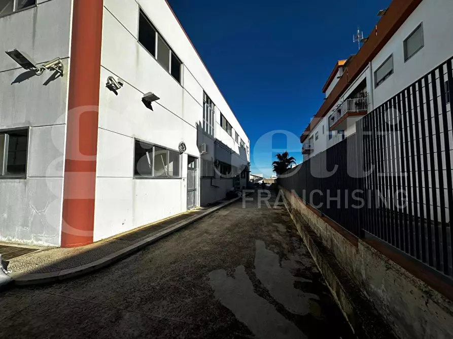 Immagine 3 di Capannone industriale in vendita  in Via Dei Calafati a Molfetta