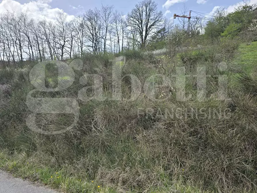 Immagine 5 di Terreno residenziale in vendita  in Via COLLEMAGRONE, SNC a Amatrice