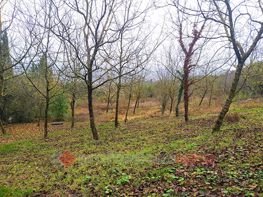 Immagine 1 di Terreno agricolo in vendita  in Via Monterone a Perugia