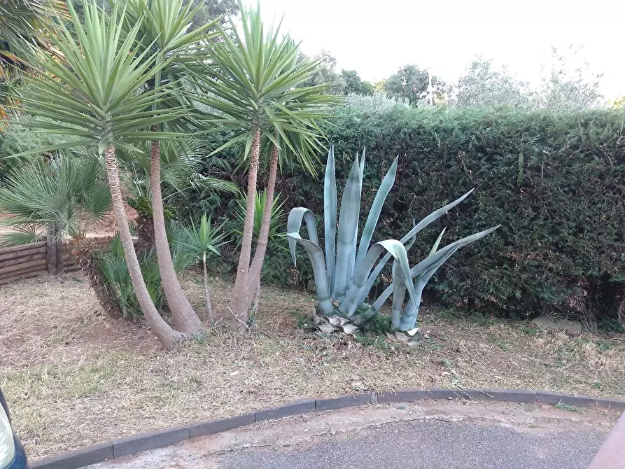 Immagine 45 di Villa in vendita  in LocalitÃ  MULUCCHINI, SNC a Amaroni