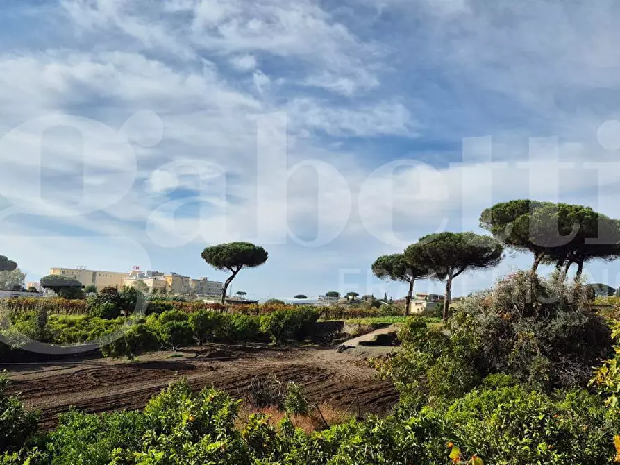 Immagine 45 di Palazzo in vendita  in Via L. Giordano, 38 a Boscotrecase