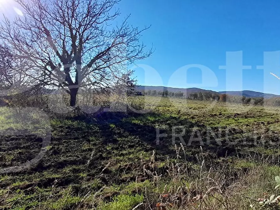 Immagine 18 di Rustico / casale in vendita  in Via DEL CONDOTTINO, 00 a Manziana