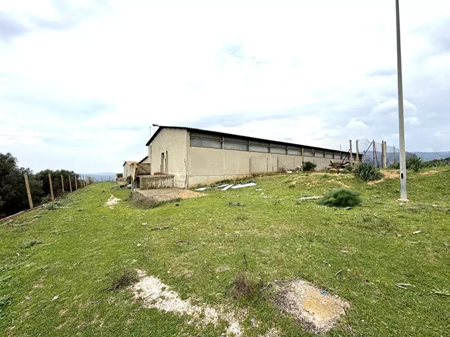 Immagine 10 di Capannone industriale in vendita  in Strada COMUNALE DE ORBAI, SNC a Dolianova