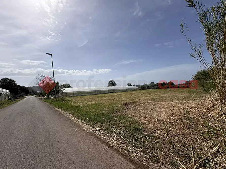 Immagine 15 di Terreno agricolo in vendita  in Via PONTE DI FERRO, 74 a Terracina