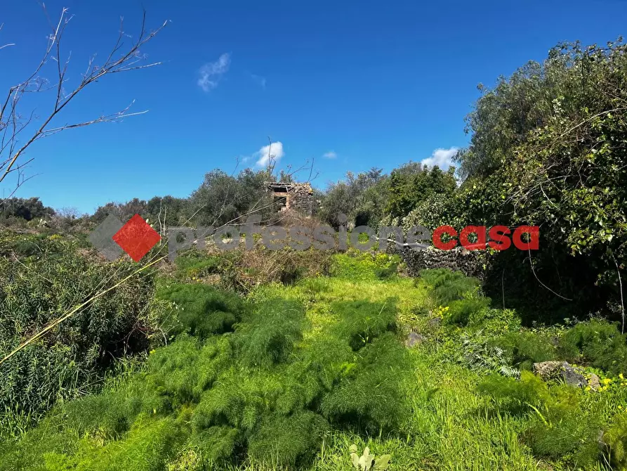 Immagine 3 di Terreno agricolo in vendita  in Via Mediterraneo, 2 a Mascalucia