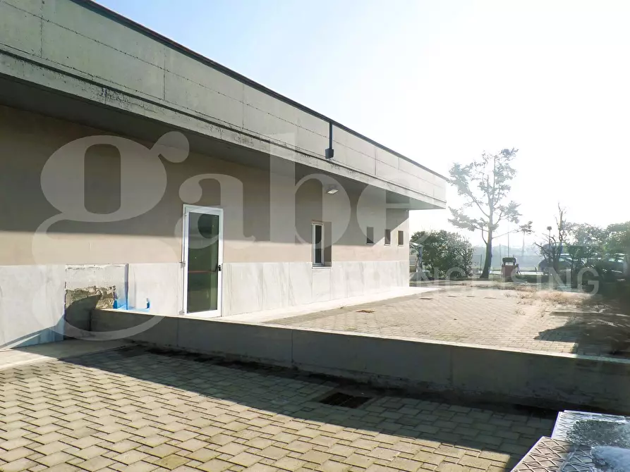 Immagine 4 di Appartamento in vendita  in Via per Modena, 129 a Finale Emilia