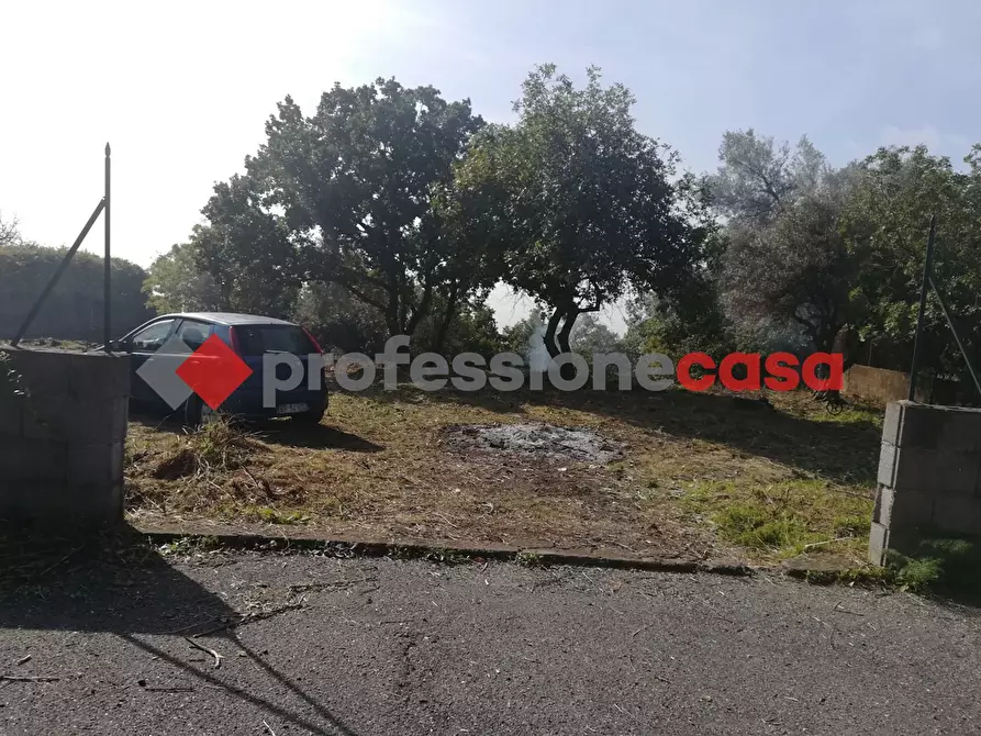 Immagine 2 di Terreno agricolo in vendita  in Contrada Scorsone, SNC a Belpasso