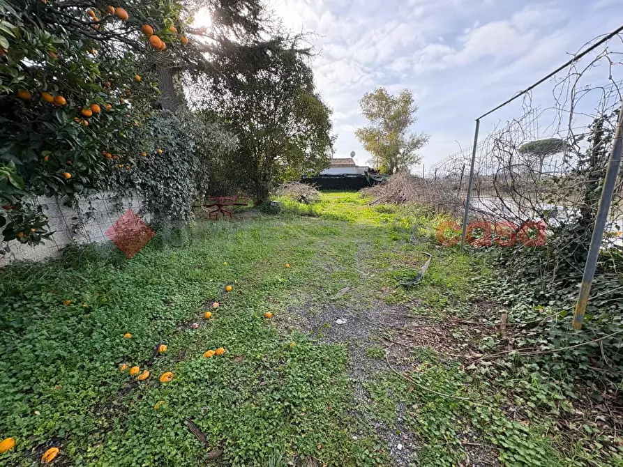 Immagine 32 di Bar / Ristorante in vendita  in Via Punta Fiume, snc a Sessa Aurunca