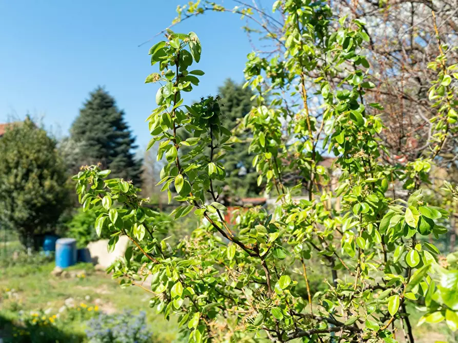 Immagine 22 di Villa in vendita  in Via Umberto I a Rivalta Di Torino