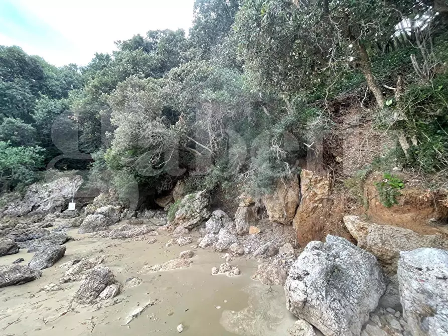 Immagine 5 di Terreno agricolo in vendita  in Via Monte a mare, s.n.c. a Gaeta