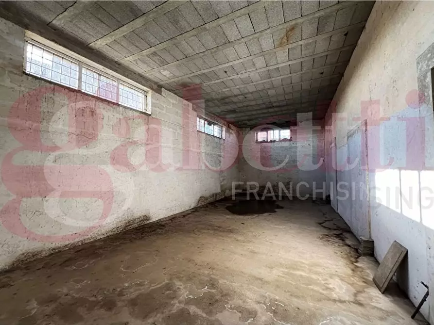 Immagine 10 di Villa in vendita  in Via stazione, snc a Zollino