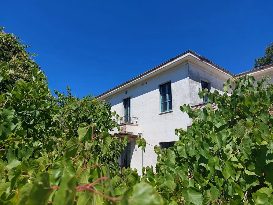 Immagine 1 di Rustico / casale in vendita  in Via Quaresima, snc a Mosciano Sant'angelo