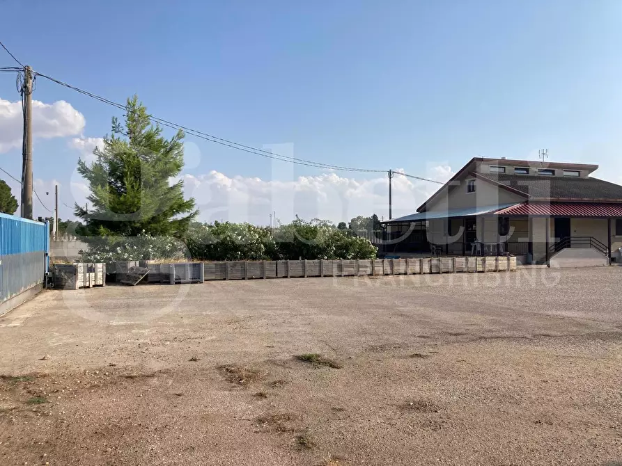 Immagine 3 di Palazzo in vendita  in Strada Statale 16 a San Severo