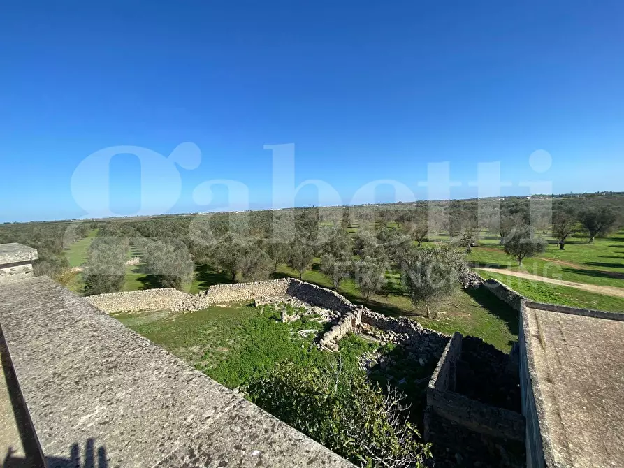 Immagine 21 di Rustico / casale in vendita  in Via Circonvallazione a Veglie