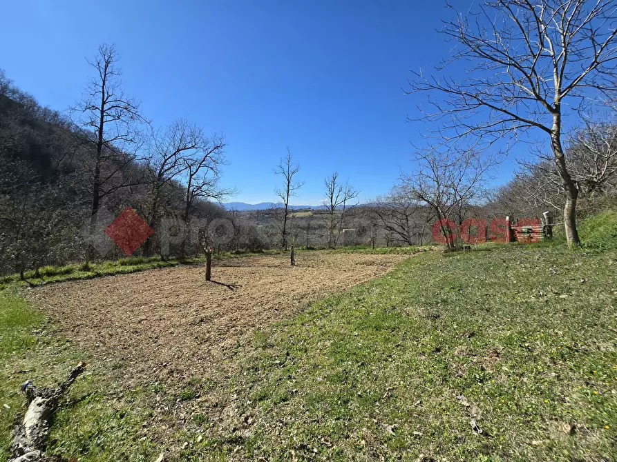 Immagine 16 di Terreno agricolo in vendita  in Via del Cerenaro, snc a Rieti