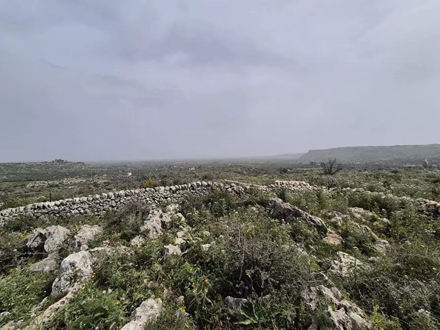 Immagine 14 di Terreno residenziale in vendita  in Contrada cugni, snc a Siracusa